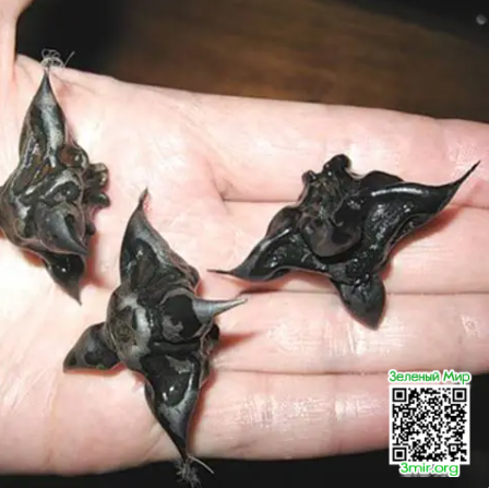 /upload/chat/11/25/01/3/1125013/1113adb2fbcb3aa993d9cdf11f57e272.png